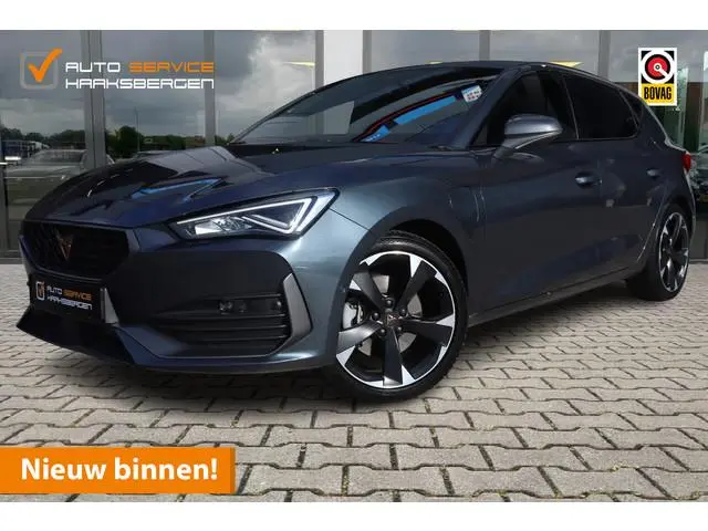 CUPRA Leon 1.4 e-Hybrid Business | ACC | Camera | Sfeerverlichting |