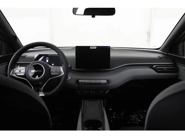 BYD DOLPHIN SURF