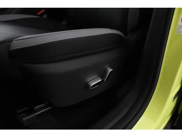 BYD DOLPHIN SURF