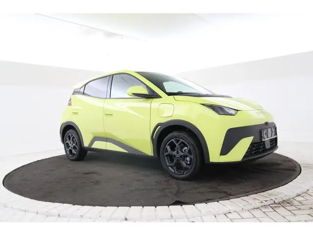BYD DOLPHIN SURF