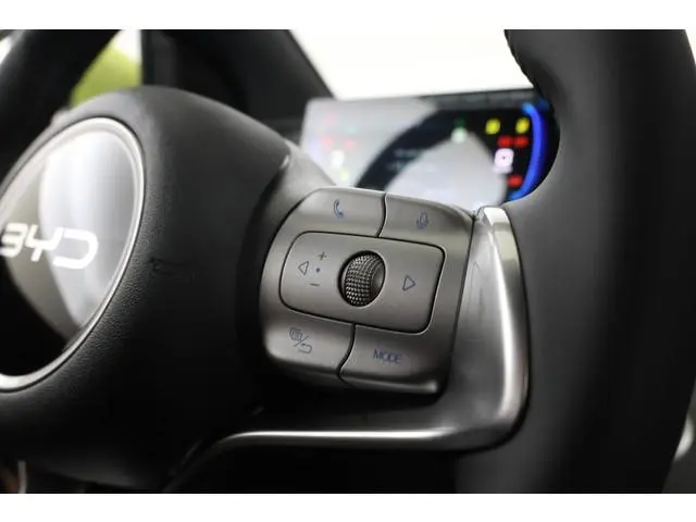 BYD DOLPHIN SURF