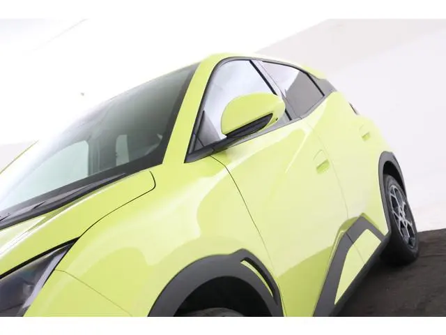 BYD DOLPHIN SURF