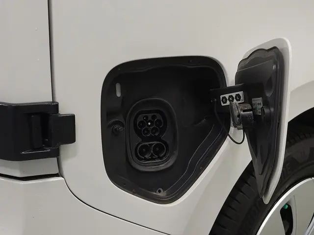 Volkswagen ID. Buzz Cargo