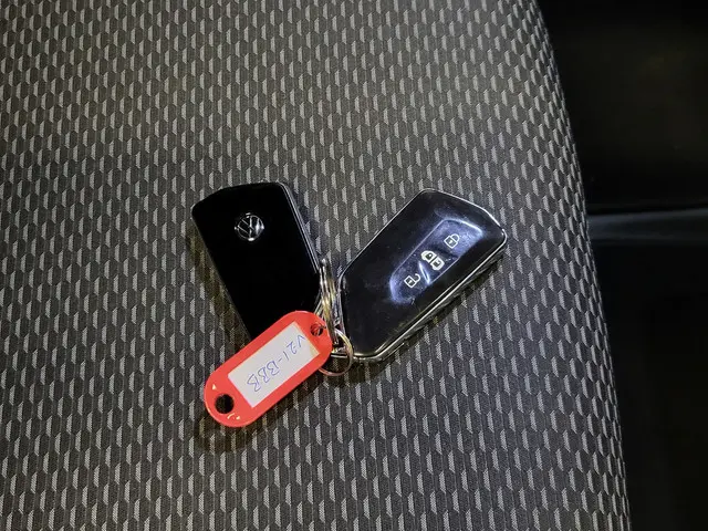 Volkswagen ID. Buzz Cargo