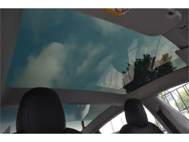 Tesla Model 3 Standard RWD Plus 60 kWh Enhanced Autopilot3.0 (twv 3.800,-), LFP Accu