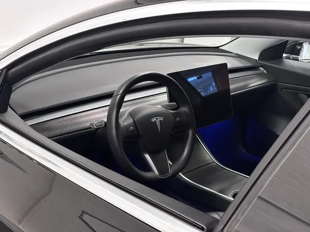 Tesla Model 3 Long Range AWD 75 kWh