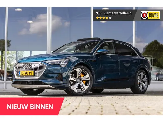 Audi e-tron e-tron 55 quattro advanced Pro Line Plus 95 kWh | 360° Camera | Pano | Trekhaak