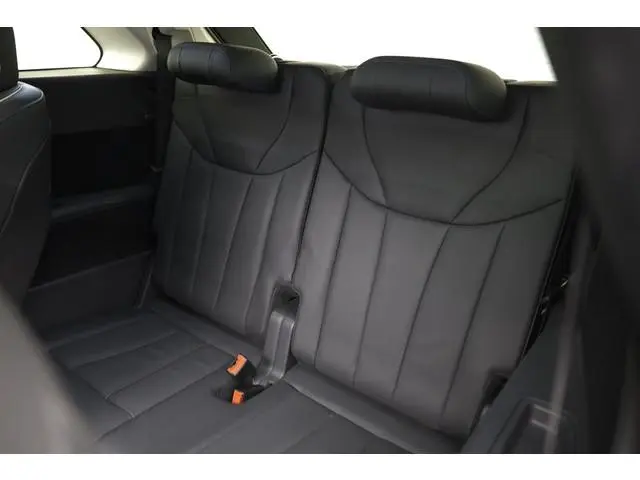 Hongqi E-HS9