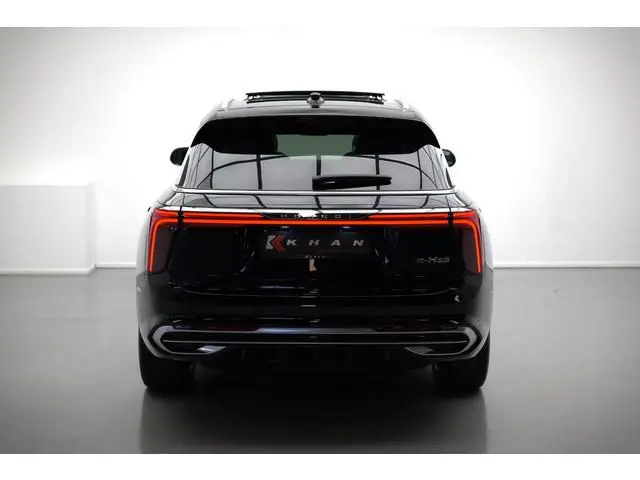 Hongqi E-HS9