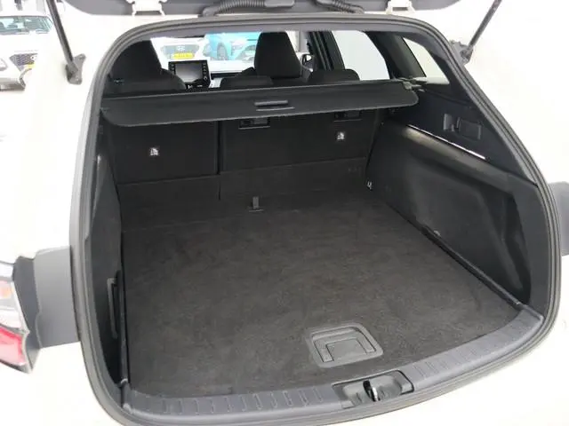 Suzuki Swace