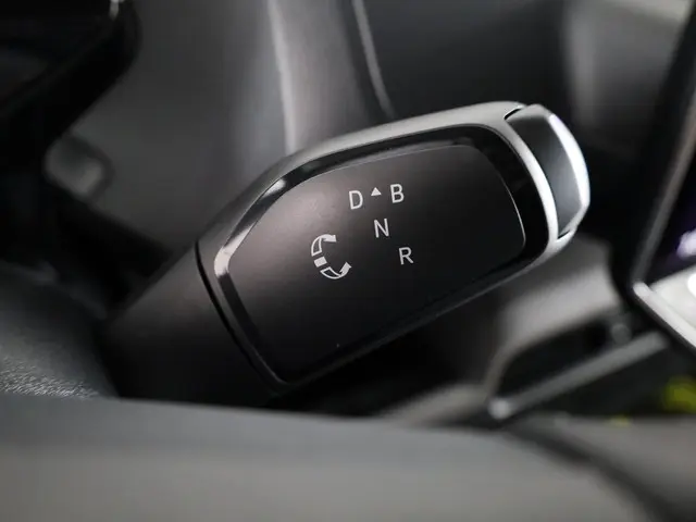 Volkswagen ID. Buzz Cargo