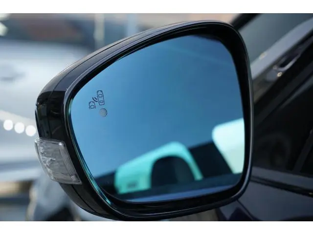 DS DS 5