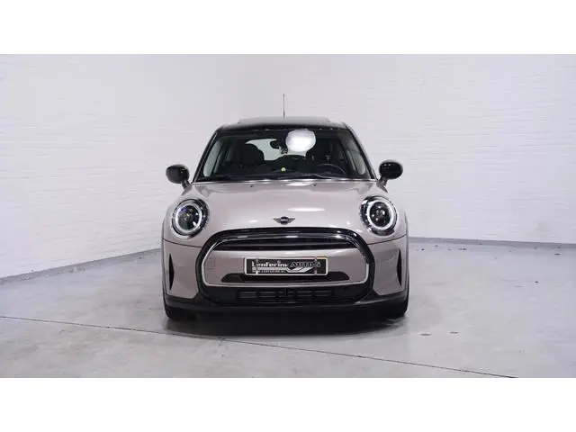 Mini Mini
