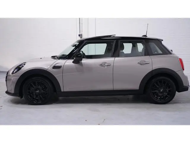 Mini Mini