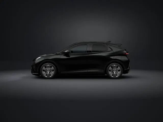 Cupra Raval