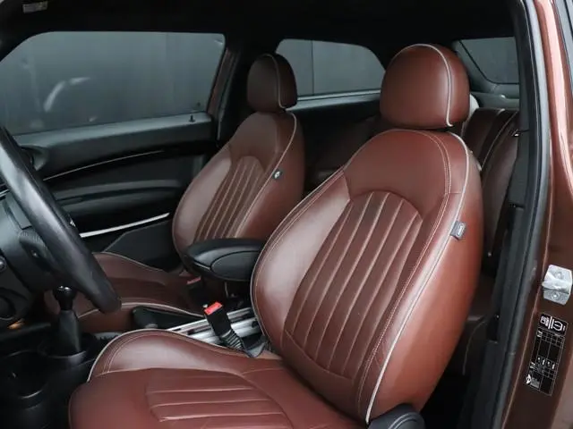 Mini Paceman