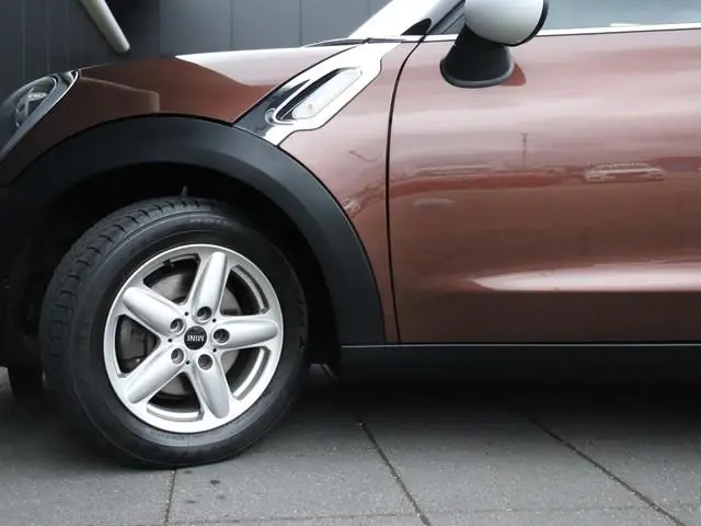 Mini Paceman