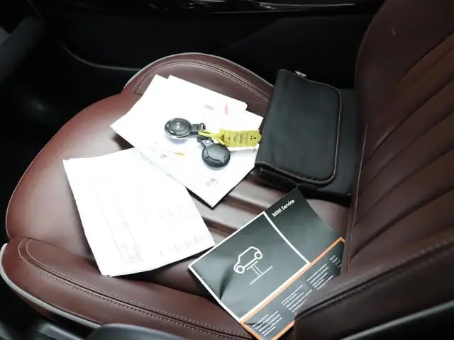 Mini Paceman