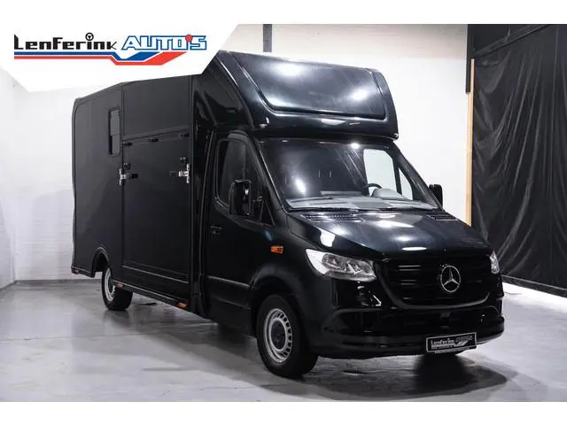 Mercedes-Benz Sprinter 316 CDI 163 pk Paardenwagen Nieuwe opbouw Sodiak hengsten uitvoering 2-Paards...