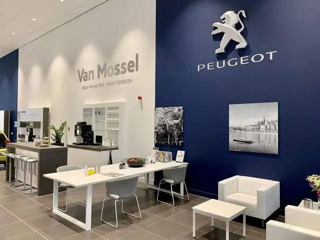 Peugeot e-308