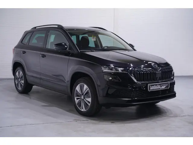 Skoda Karoq 1.5 TSI ACT Business Edition Plus NAP Clima Winterpakket Navi Camera PDC v+a  Voorruitve...