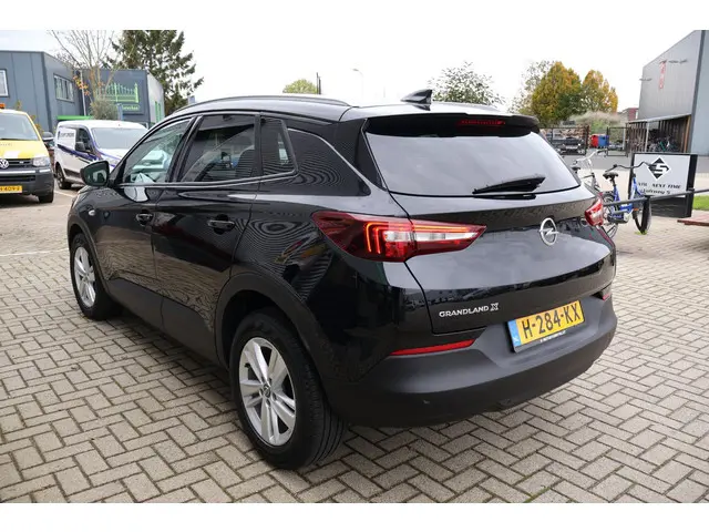Opel Grandland X 1.2 Business Executive 1e Eigenaar | Dealer Onderh | NL-Auto | BTW | Winterpack | C...