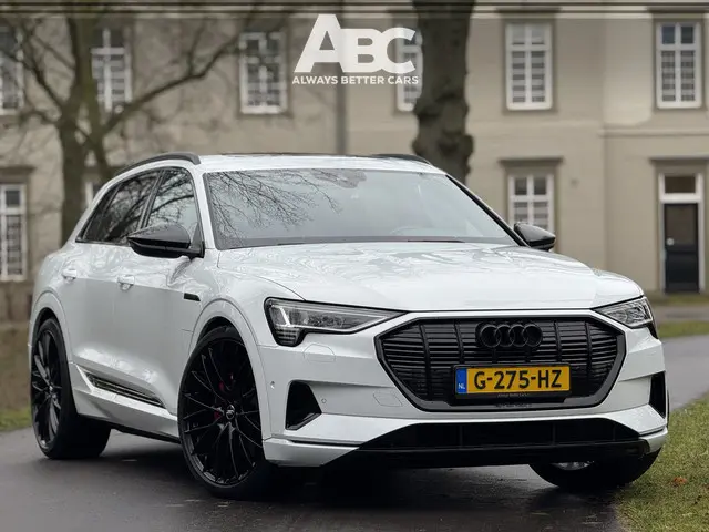 Audi e-tron e-tron 55 quattro advanced 95 kWh S-Line 23"