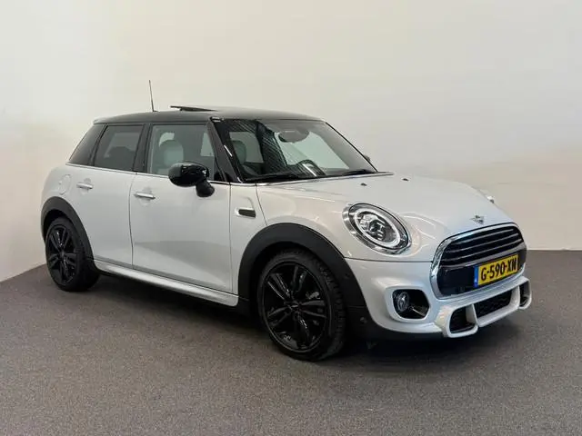 Mini Mini