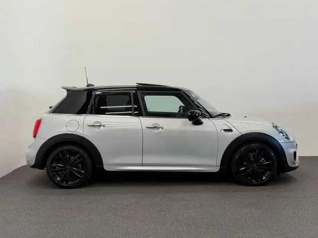 Mini Mini
