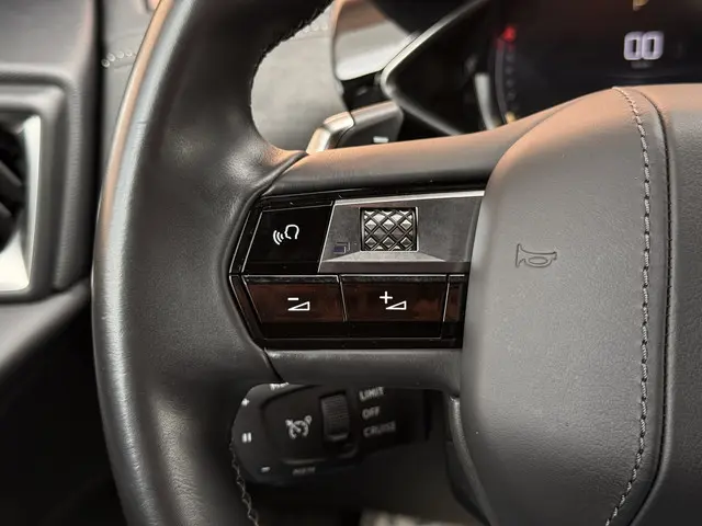 DS DS 3