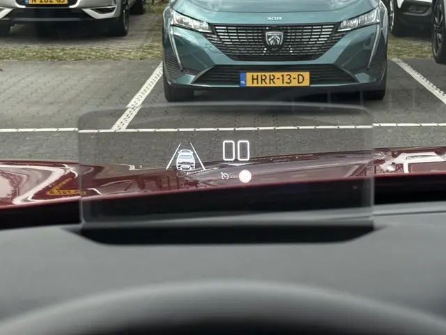 DS DS 3