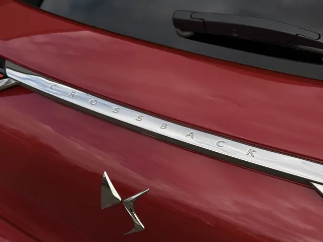 DS DS 3