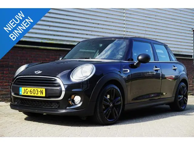 Mini Mini