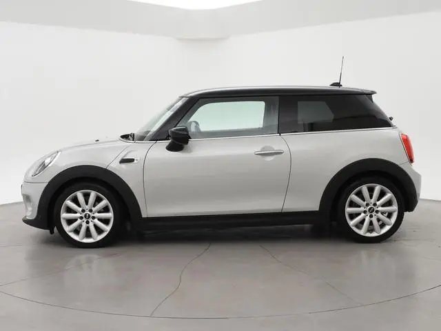 Mini Mini