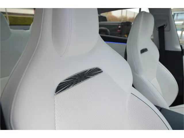 Tesla Model 3 Performance AWD 78 kWh Highland, Enhanced AutoPilot4.0 Ryzen (twv 3.800,-) (Meerprijs...