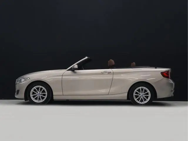 BMW 2-serie Cabrio 218i Centennial High Executive [CRUISE CONTROL, STOELVERWARMING, PDC V+A, LEDER,...