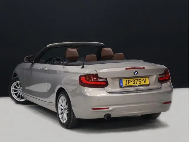 BMW 2-serie Cabrio 218i Centennial High Executive [CRUISE CONTROL, STOELVERWARMING, PDC V+A, LEDER,...