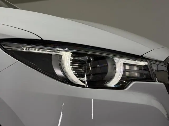 MG ZS EV