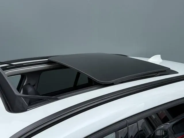 BMW X1 BWJ 2021 xDrive25e 221 PK Business Edition Plus AUTOMAAT | TREKHAAK | PANO | STOELVERW. | LED...