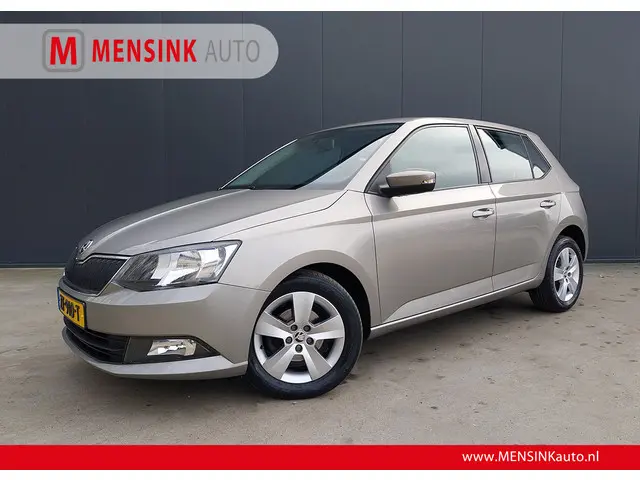 ŠKODA Fabia 1.0 TSI 96 PK AMBITION AIRCO CRUISE LED