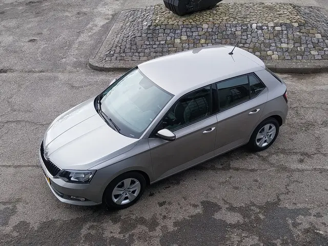 ŠKODA Fabia 1.0 TSI 96 PK AMBITION AIRCO CRUISE LED