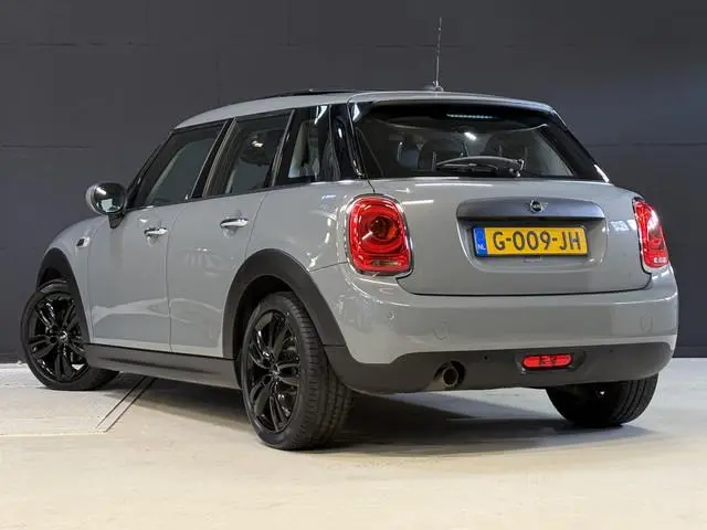 Mini Mini
