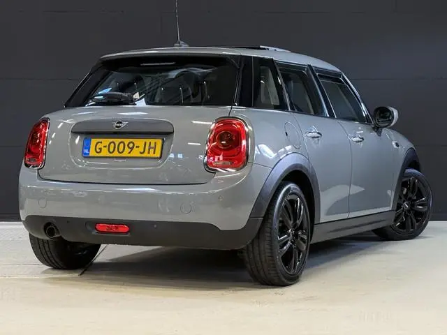 Mini Mini