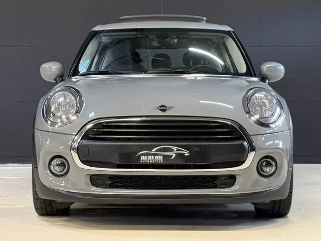 Mini Mini