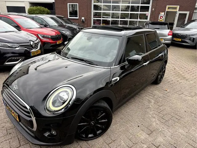 Mini Mini