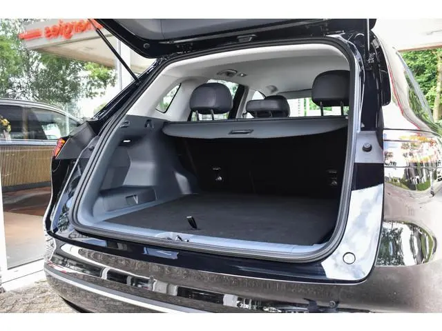 Geely Starray EM-i