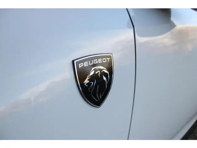 Peugeot e-3008