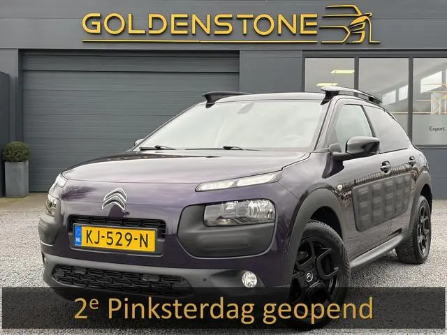 Citroen C4 Cactus 1.2 PureTech Business Plus 2e Eigenaar,Pano,Camera,Navi,Trekhaak,Pdc V+A,Clima,Cru...