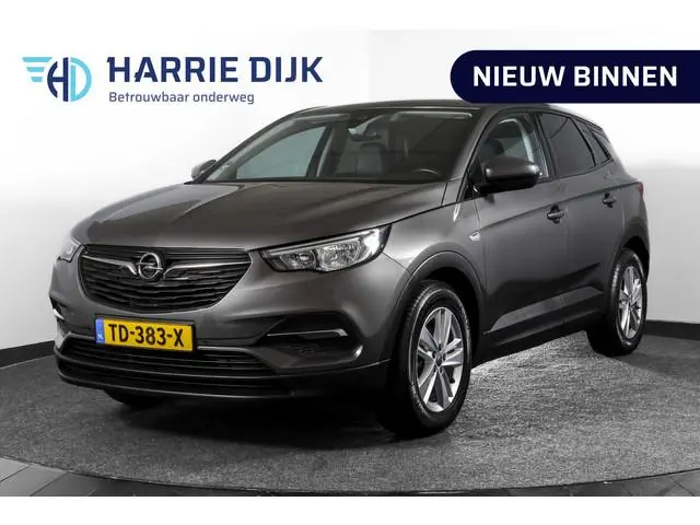 Opel Grandland X 1.2 Turbo Online Edition 131 PK - Org. NL. | Cruise | PDC | NAV + App. Connect | EC...