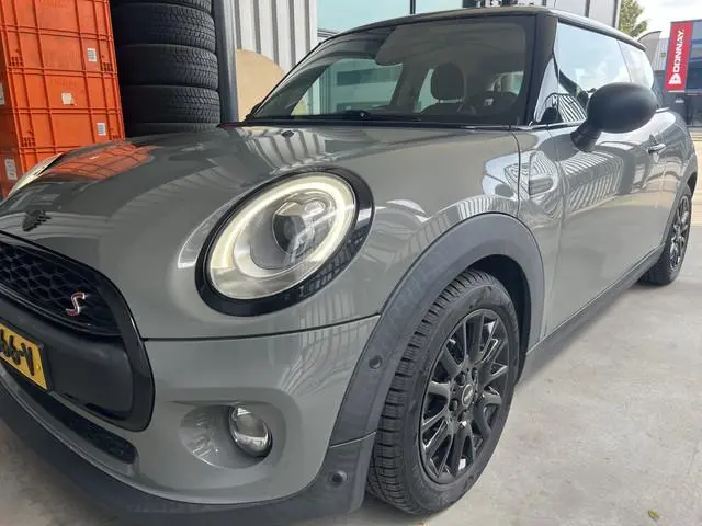 Mini Mini
